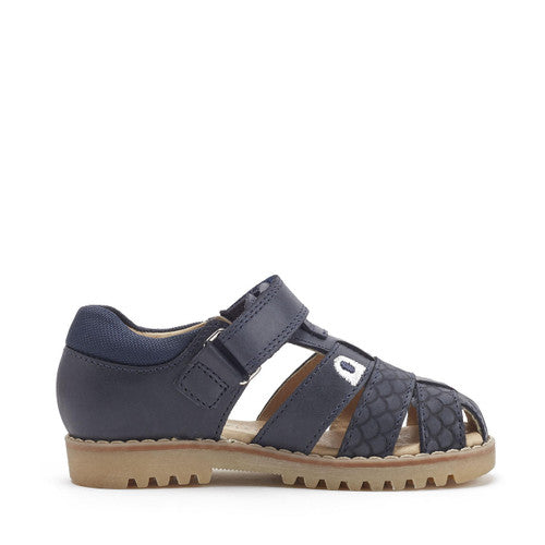 Startrite Dino Park Navy Blue Closed Toe Sandals Emmanuelle Marshall Children's Shoes