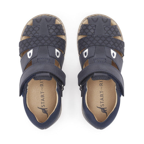 Startrite Dino Park Navy Blue Closed Toe Sandals